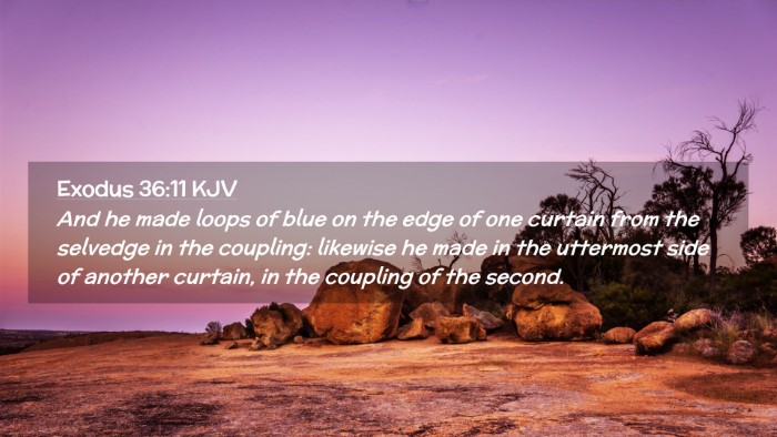 Picture 02 - Exodus 36:11 KJV Desktop Wallpaper - And he made loops of blue on the edge of one - Desktop Bible Verse Wallpaper