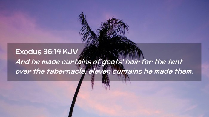 Picture 02 - Exodus 36:14 KJV Desktop Wallpaper - And he made curtains of goats' hair for the tent - Desktop Bible Verse Wallpaper