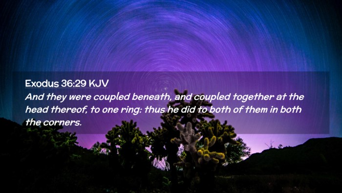 Picture 02 - Exodus 36:29 KJV Desktop Wallpaper - And they were coupled beneath, and coupled - Desktop Bible Verse Wallpaper