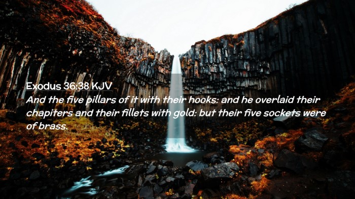 Picture 02 - Exodus 36:38 KJV Desktop Wallpaper - And the five pillars of it with their hooks: and - Desktop Bible Verse Wallpaper