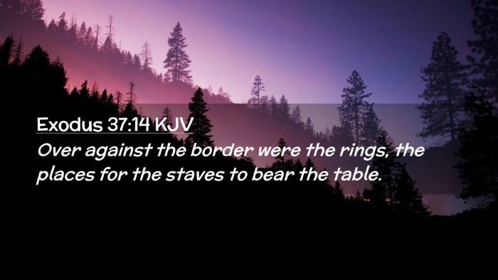 Picture 02 - Exodus 37:14 KJV Desktop Wallpaper - Over against the border were the rings, the - Desktop Bible Verse Wallpaper