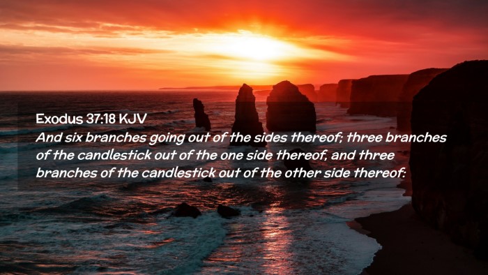 Picture 02 - Exodus 37:18 KJV Desktop Wallpaper - And six branches going out of the sides thereof; - Desktop Bible Verse Wallpaper