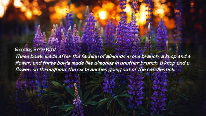 Picture 02 - Exodus 37:19 KJV Desktop Wallpaper - Three bowls made after the fashion of almonds in - Desktop Bible Verse Wallpaper