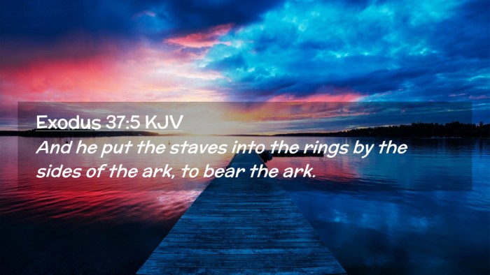 Picture 02 - Exodus 37:5 KJV Desktop Wallpaper - And he put the staves into the rings by the sides - Desktop Bible Verse Wallpaper