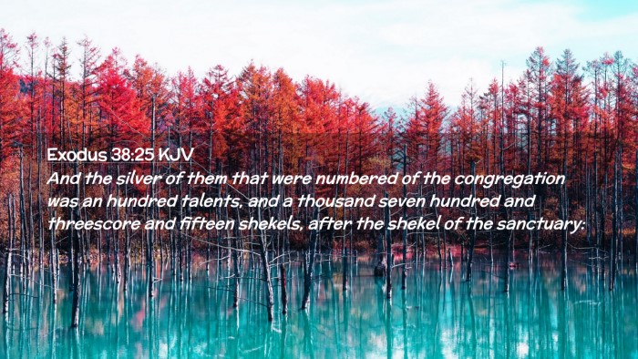 Picture 02 - Exodus 38:25 KJV Desktop Wallpaper - And the silver of them that were numbered of the - Desktop Bible Verse Wallpaper
