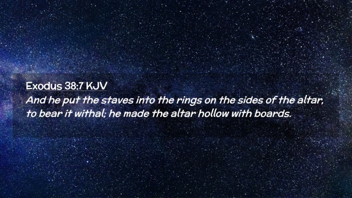 Picture 02 - Exodus 38:7 KJV Desktop Wallpaper - And he put the staves into the rings on the sides - Desktop Bible Verse Wallpaper