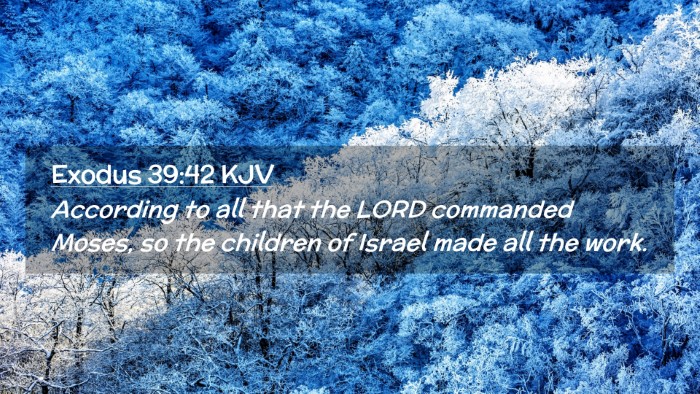 Picture 02 - Exodus 39:42 KJV Desktop Wallpaper - According to all that the LORD commanded Moses, - Desktop Bible Verse Wallpaper