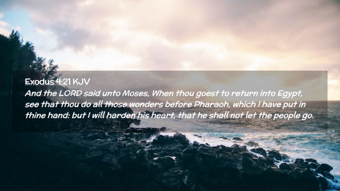 Picture 02 - Exodus 4:21 KJV Desktop Wallpaper - And the LORD said unto Moses, When thou goest to - Desktop Bible Verse Wallpaper