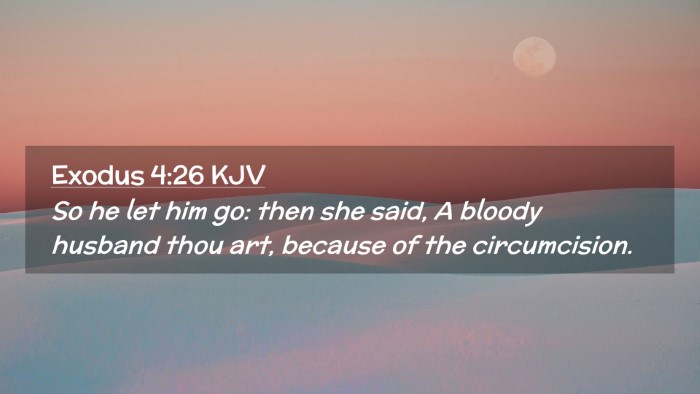 Picture 02 - Exodus 4:26 KJV Desktop Wallpaper - So he let him go: then she said, A bloody husband - Desktop Bible Verse Wallpaper