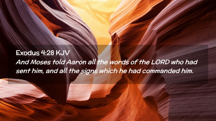 Picture 02 - Exodus 4:28 KJV Desktop Wallpaper - And Moses told Aaron all the words of the LORD - Desktop Bible Verse Wallpaper