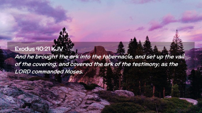 Picture 02 - Exodus 40:21 KJV Desktop Wallpaper - And he brought the ark into the tabernacle, and - Desktop Bible Verse Wallpaper