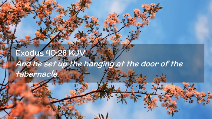 Picture 02 - Exodus 40:28 KJV Desktop Wallpaper - And he set up the hanging at the door of the - Desktop Bible Verse Wallpaper