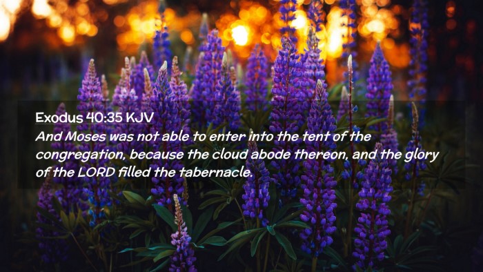 Picture 02 - Exodus 40:35 KJV Desktop Wallpaper - And Moses was not able to enter into the tent of - Desktop Bible Verse Wallpaper