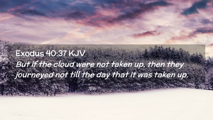 Picture 02 - Exodus 40:37 KJV Desktop Wallpaper - But if the cloud were not taken up, then they - Desktop Bible Verse Wallpaper