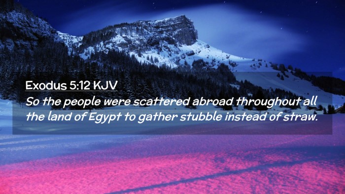Picture 02 - Exodus 5:12 KJV Desktop Wallpaper - So the people were scattered abroad throughout - Desktop Bible Verse Wallpaper