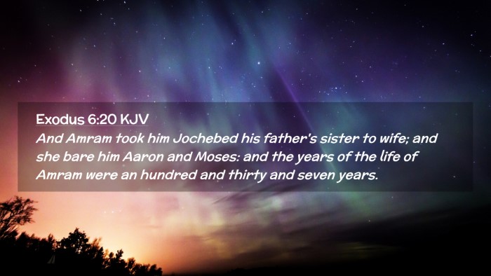 Picture 02 - Exodus 6:20 KJV Desktop Wallpaper - And Amram took him Jochebed his father's sister - Desktop Bible Verse Wallpaper