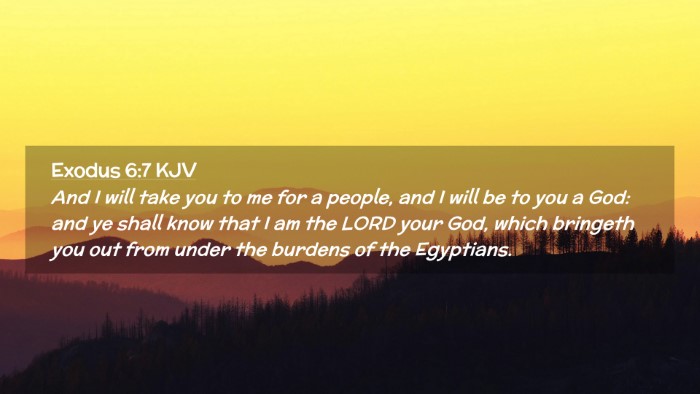 Picture 02 - Exodus 6:7 KJV Desktop Wallpaper - And I will take you to me for a people, and I - Desktop Bible Verse Wallpaper