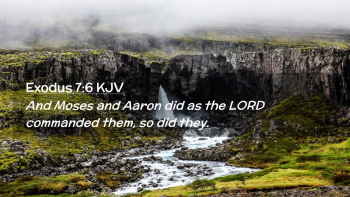 Picture 02 - Exodus 7:6 KJV Desktop Wallpaper - And Moses and Aaron did as the LORD commanded - Desktop Bible Verse Wallpaper