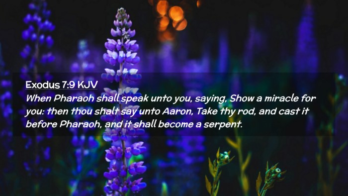 Picture 02 - Exodus 7:9 KJV Desktop Wallpaper - When Pharaoh shall speak unto you, saying, Show a - Desktop Bible Verse Wallpaper
