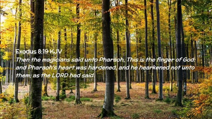 Picture 02 - Exodus 8:19 KJV Desktop Wallpaper - Then the magicians said unto Pharaoh, This is the - Desktop Bible Verse Wallpaper