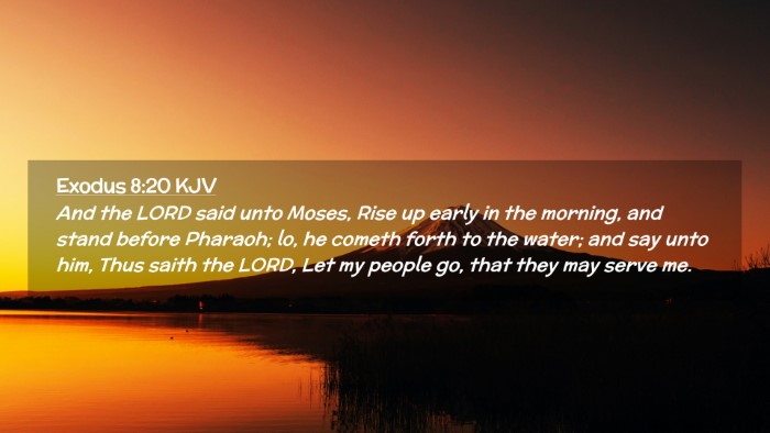 Picture 02 - Exodus 8:20 KJV Desktop Wallpaper - And the LORD said unto Moses, Rise up early in - Desktop Bible Verse Wallpaper