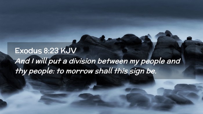 Picture 02 - Exodus 8:23 KJV Desktop Wallpaper - And I will put a division between my people and - Desktop Bible Verse Wallpaper