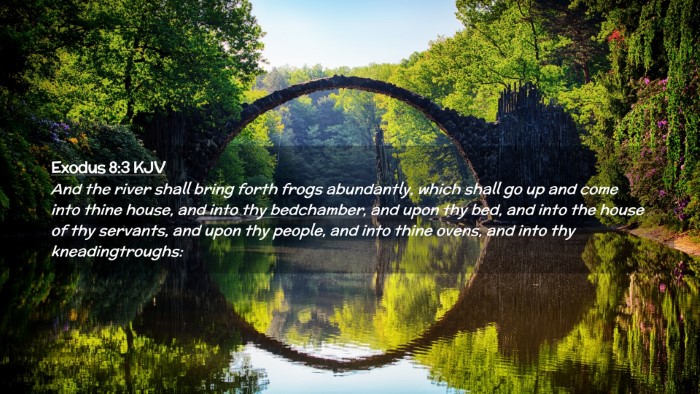 Picture 02 - Exodus 8:3 KJV Desktop Wallpaper - And the river shall bring forth frogs abundantly, - Desktop Bible Verse Wallpaper