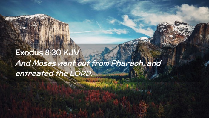Picture 02 - Exodus 8:30 KJV Desktop Wallpaper - And Moses went out from Pharaoh, and entreated - Desktop Bible Verse Wallpaper