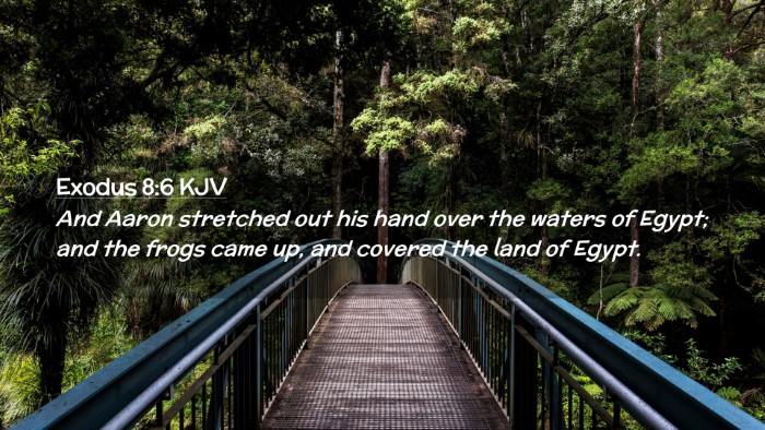 Picture 02 - Exodus 8:6 KJV Desktop Wallpaper - And Aaron stretched out his hand over the waters - Desktop Bible Verse Wallpaper