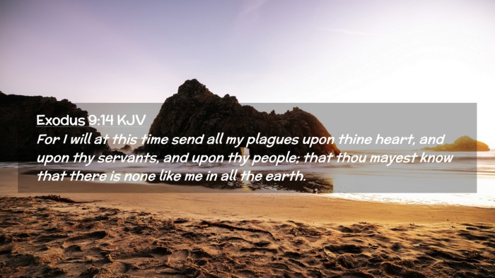 Picture 02 - Exodus 9:14 KJV Desktop Wallpaper - For I will at this time send all my plagues upon - Desktop Bible Verse Wallpaper