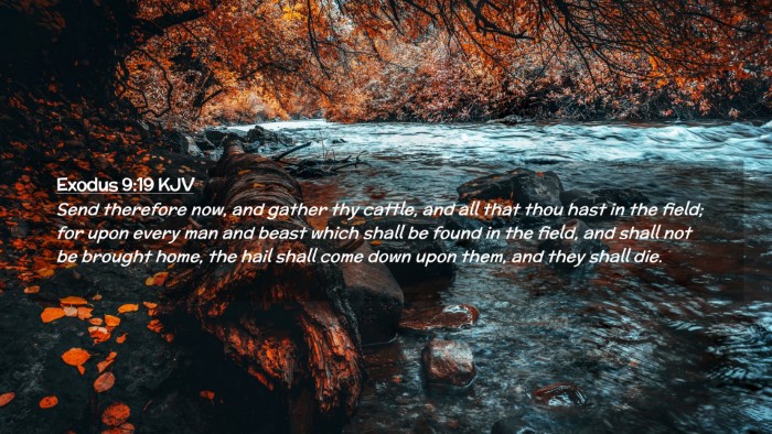 Picture 02 - Exodus 9:19 KJV Desktop Wallpaper - Send therefore now, and gather thy cattle, and - Desktop Bible Verse Wallpaper