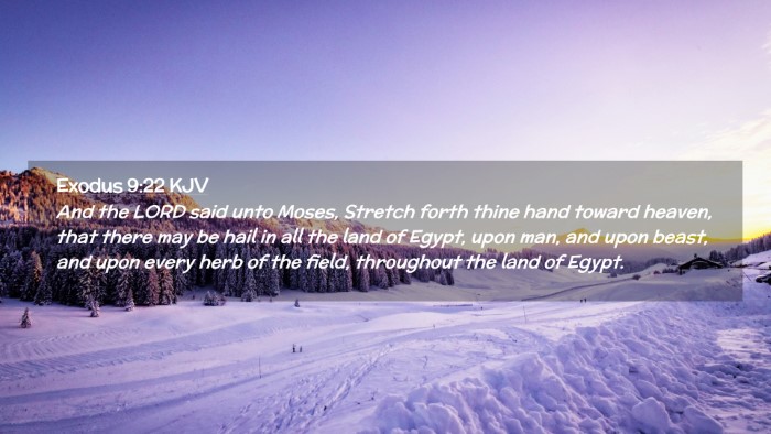 Picture 02 - Exodus 9:22 KJV Desktop Wallpaper - And the LORD said unto Moses, Stretch forth thine - Desktop Bible Verse Wallpaper