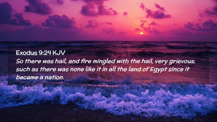 Picture 02 - Exodus 9:24 KJV Desktop Wallpaper - So there was hail, and fire mingled with the - Desktop Bible Verse Wallpaper
