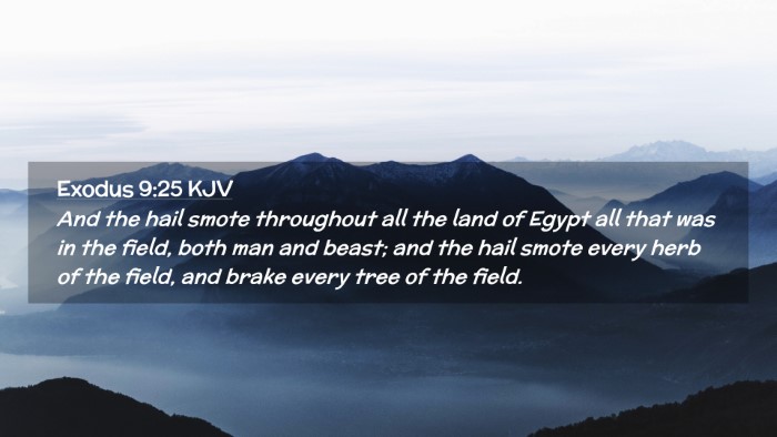 Picture 02 - Exodus 9:25 KJV Desktop Wallpaper - And the hail smote throughout all the land of - Desktop Bible Verse Wallpaper