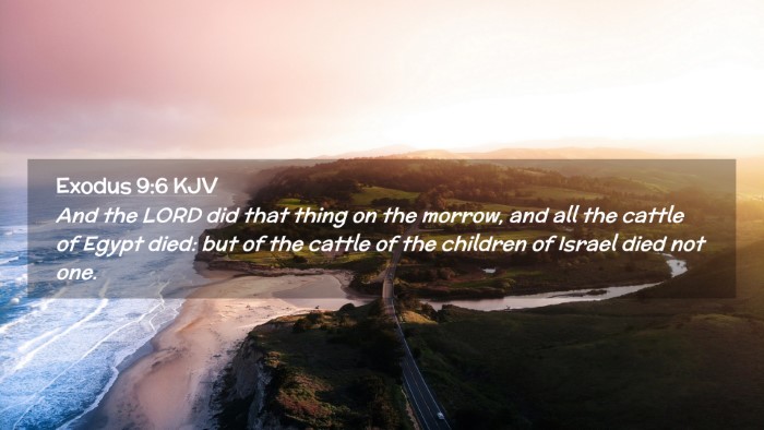 Picture 02 - Exodus 9:6 KJV Desktop Wallpaper - And the LORD did that thing on the morrow, and - Desktop Bible Verse Wallpaper