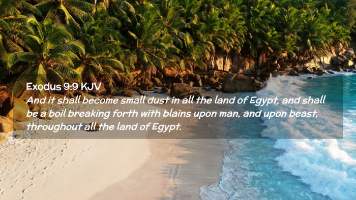 Picture 02 - Exodus 9:9 KJV Desktop Wallpaper - And it shall become small dust in all the land of - Desktop Bible Verse Wallpaper