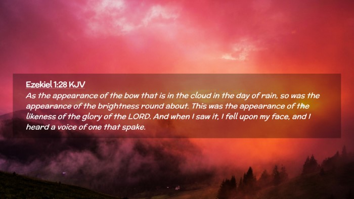 Picture 02 - Ezekiel 1:28 KJV Desktop Wallpaper - As the appearance of the bow that is in the cloud - Desktop Bible Verse Wallpaper