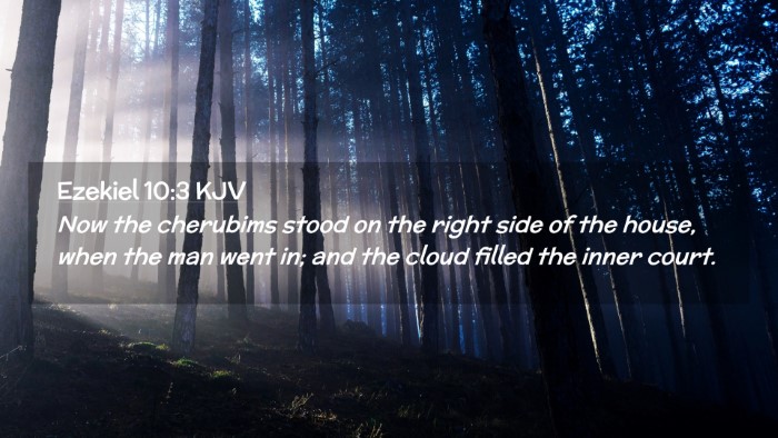 Picture 02 - Ezekiel 10:3 KJV Desktop Wallpaper - Now the cherubims stood on the right side of the - Desktop Bible Verse Wallpaper