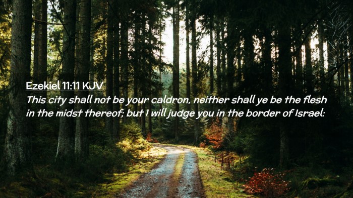 Picture 02 - Ezekiel 11:11 KJV Desktop Wallpaper - This city shall not be your caldron, neither - Desktop Bible Verse Wallpaper