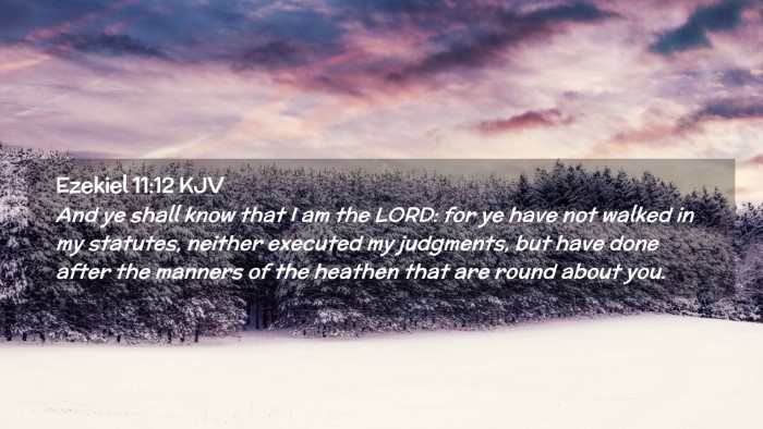 Picture 02 - Ezekiel 11:12 KJV Desktop Wallpaper - And ye shall know that I am the LORD: for ye have - Desktop Bible Verse Wallpaper