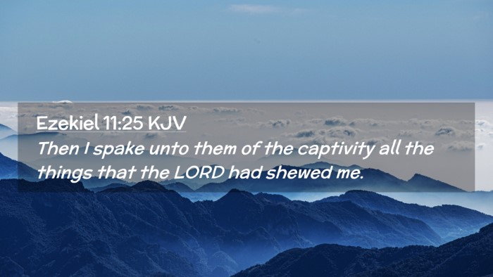 Picture 02 - Ezekiel 11:25 KJV Desktop Wallpaper - Then I spake unto them of the captivity all the - Desktop Bible Verse Wallpaper