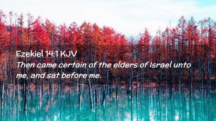 Picture 02 - Ezekiel 14:1 KJV Desktop Wallpaper - Then came certain of the elders of Israel unto - Desktop Bible Verse Wallpaper