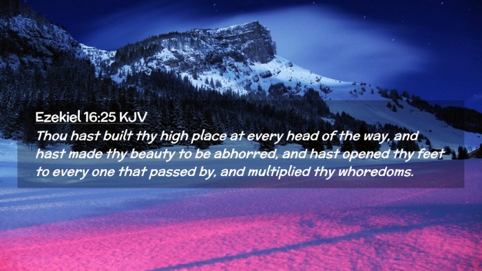 Picture 02 - Ezekiel 16:25 KJV Desktop Wallpaper - Thou hast built thy high place at every head of - Desktop Bible Verse Wallpaper