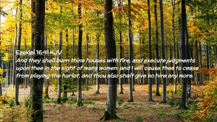 Picture 02 - Ezekiel 16:41 KJV Desktop Wallpaper - And they shall burn thine houses with fire, and - Desktop Bible Verse Wallpaper