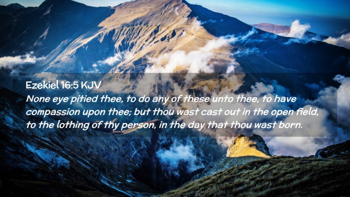 Picture 02 - Ezekiel 16:5 KJV Desktop Wallpaper - None eye pitied thee, to do any of these unto - Desktop Bible Verse Wallpaper