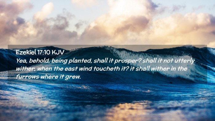 Picture 02 - Ezekiel 17:10 KJV Desktop Wallpaper - Yea, behold, being planted, shall it prosper? - Desktop Bible Verse Wallpaper