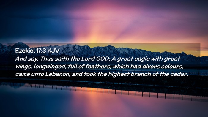 Picture 02 - Ezekiel 17:3 KJV Desktop Wallpaper - And say, Thus saith the Lord GOD; A great eagle - Desktop Bible Verse Wallpaper