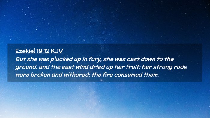 Picture 02 - Ezekiel 19:12 KJV Desktop Wallpaper - But she was plucked up in fury, she was cast down - Desktop Bible Verse Wallpaper