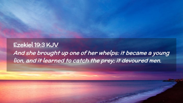 Picture 02 - Ezekiel 19:3 KJV Desktop Wallpaper - And she brought up one of her whelps: it became a - Desktop Bible Verse Wallpaper