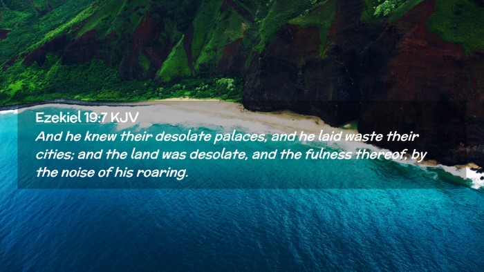Picture 02 - Ezekiel 19:7 KJV Desktop Wallpaper - And he knew their desolate palaces, and he laid - Desktop Bible Verse Wallpaper
